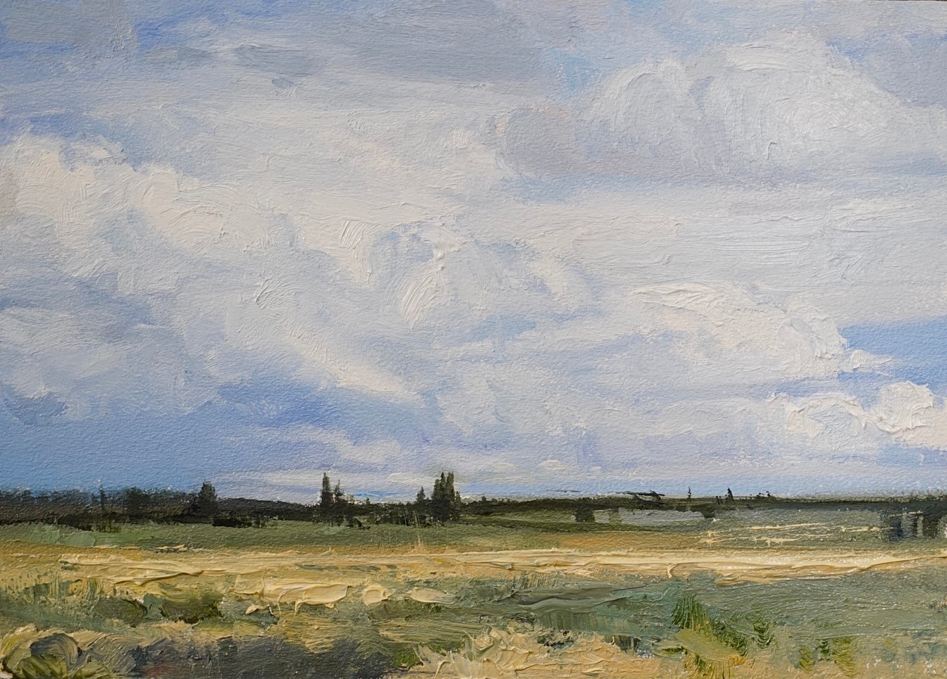 Field of Clouds Study