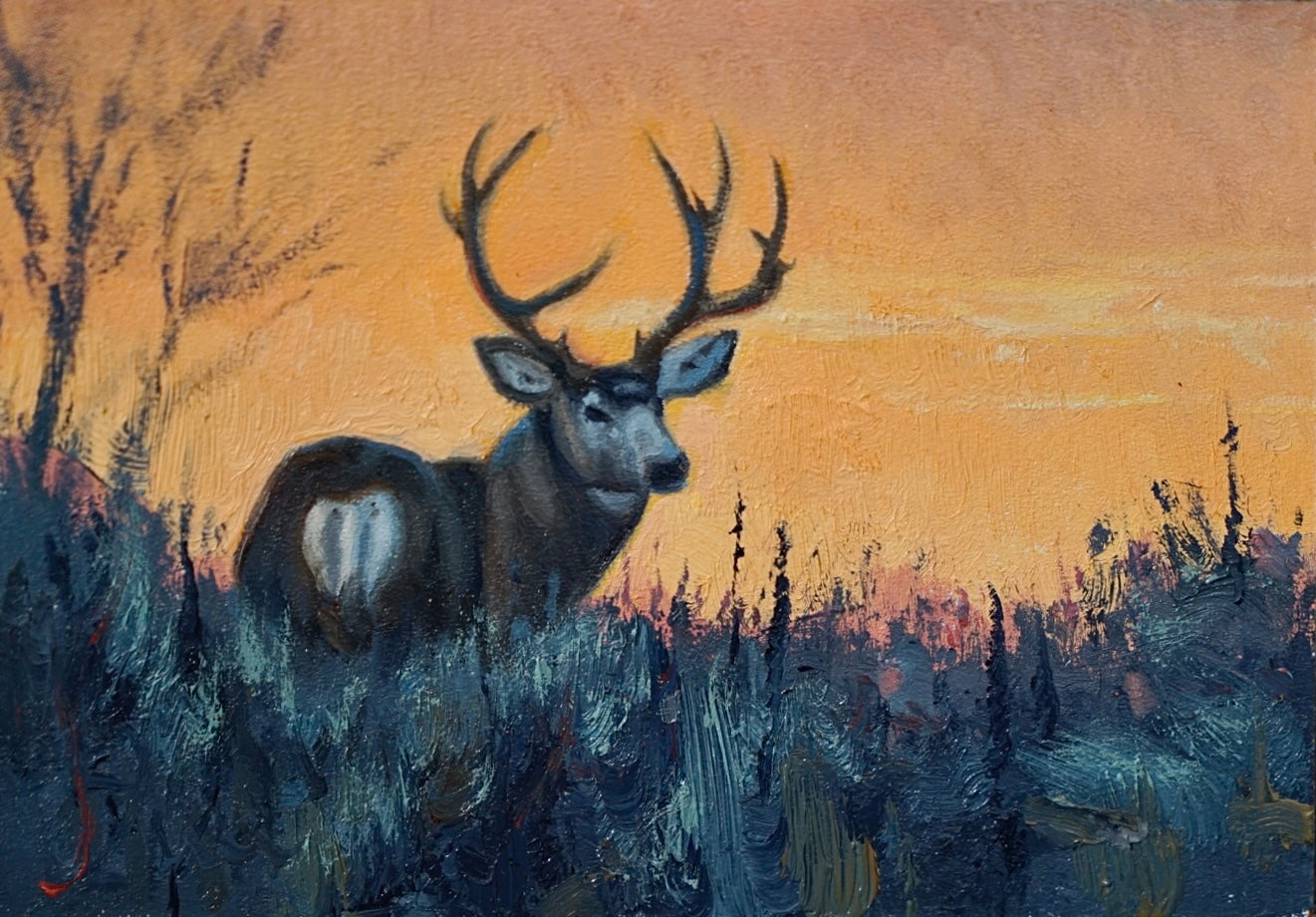 Majesty Study