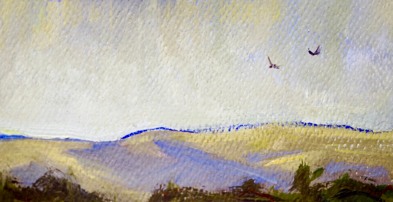 Of Sky and Land no.22