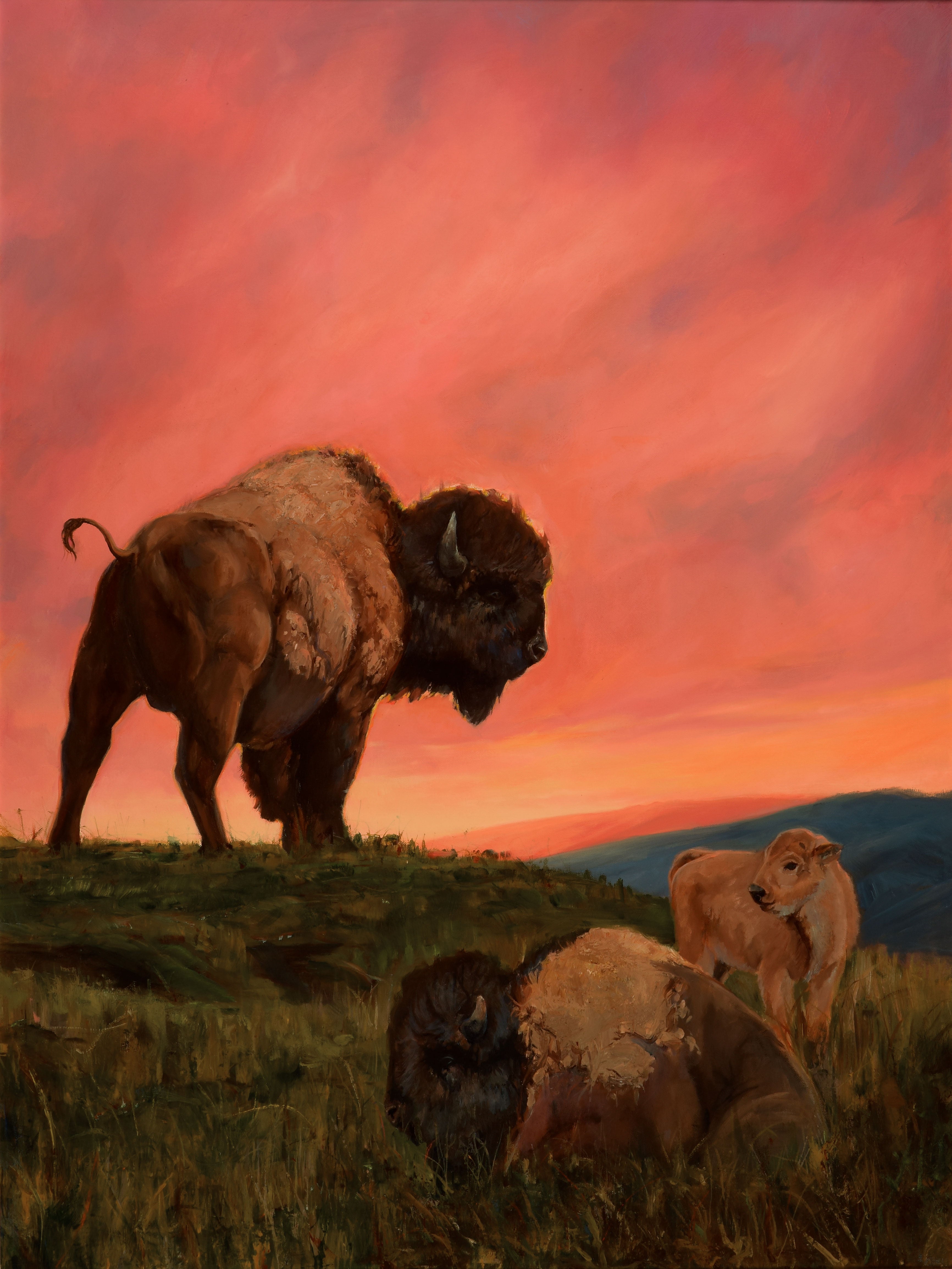 King of the Hill