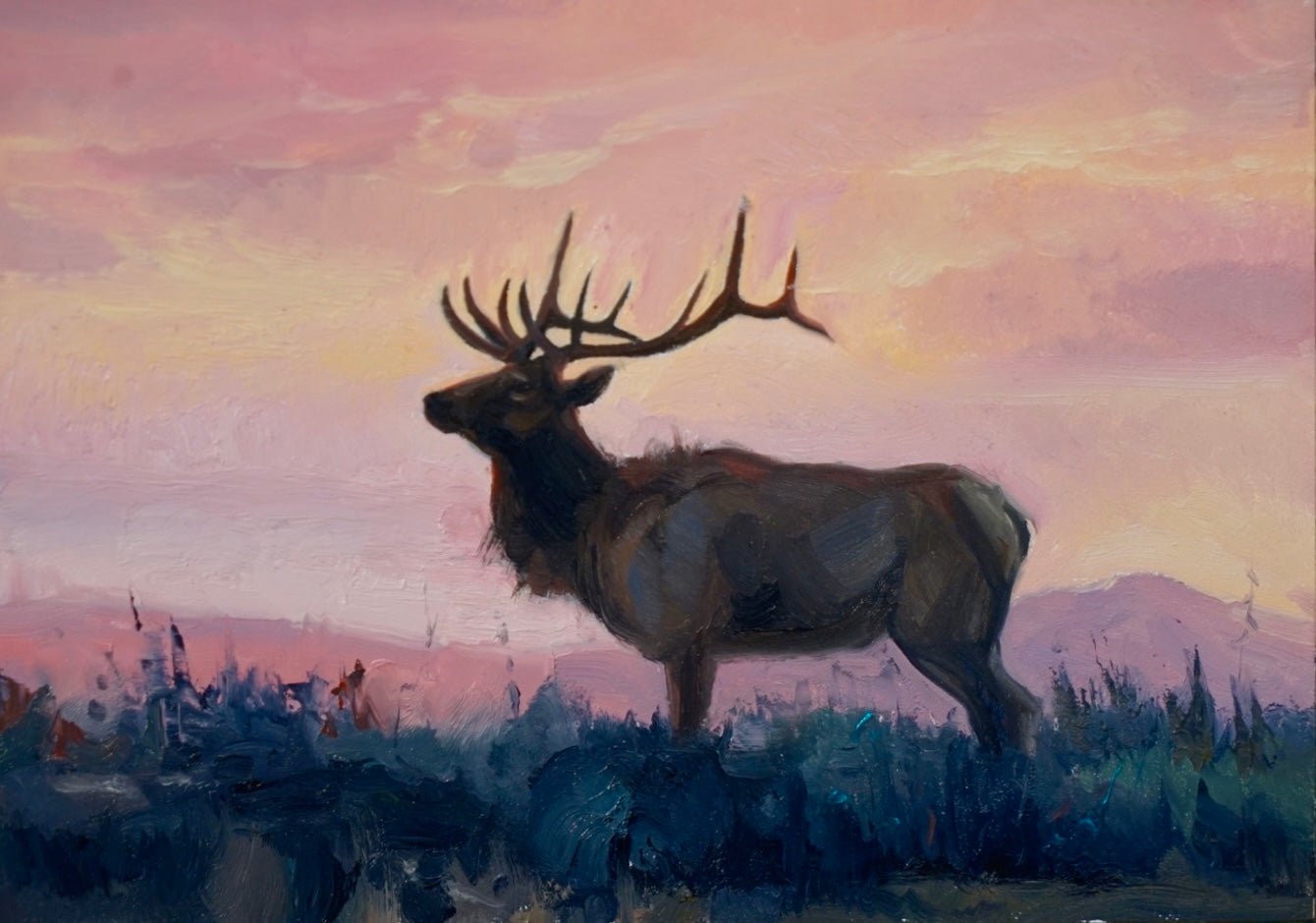 Elk Study