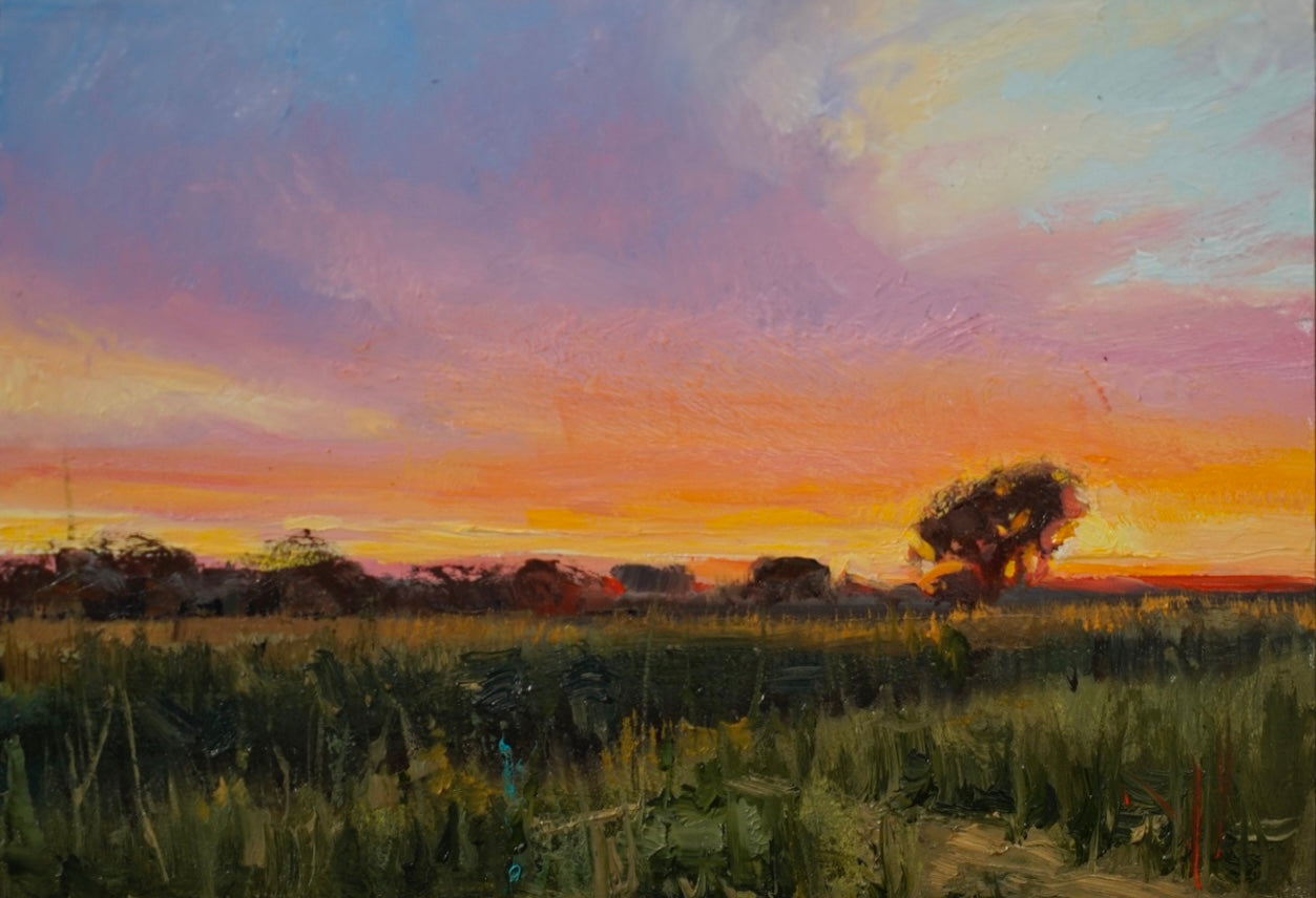 Running at Dusk Study
